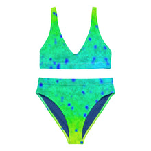 Load image into Gallery viewer, Mahi Recycled high-waisted bikini XS - 3XL