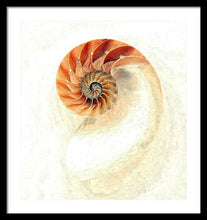 Load image into Gallery viewer, Nautilus - Framed Print