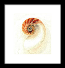 Load image into Gallery viewer, Nautilus - Framed Print