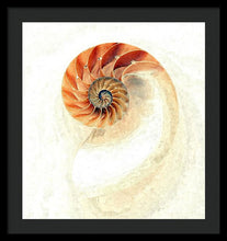 Load image into Gallery viewer, Nautilus - Framed Print