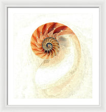 Load image into Gallery viewer, Nautilus - Framed Print