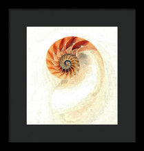 Load image into Gallery viewer, Nautilus - Framed Print