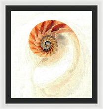 Load image into Gallery viewer, Nautilus - Framed Print