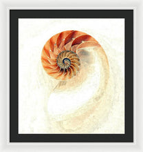 Load image into Gallery viewer, Nautilus - Framed Print