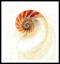Load image into Gallery viewer, Nautilus - Framed Print