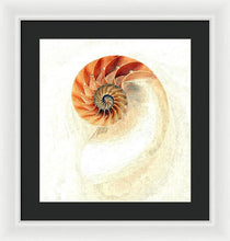 Load image into Gallery viewer, Nautilus - Framed Print