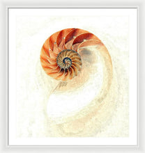 Load image into Gallery viewer, Nautilus - Framed Print