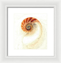 Load image into Gallery viewer, Nautilus - Framed Print